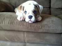 20110425130605.webp