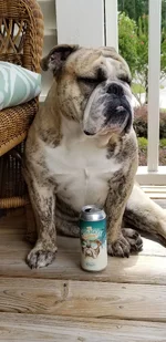 20180630_125224.webp