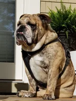 20190501_084131.webp