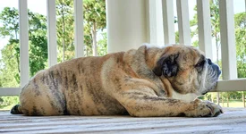 IMG_20220810_102945.webp