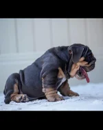 023087D8-7B93-48DE-84F5-E7AA040594AC.webp