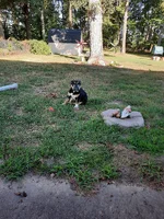 20220902_085611.webp