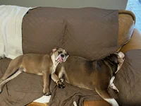 DE04A807-FB16-4E3E-8CC5-0365560CDDD2.webp