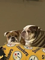 Bean&Lu.webp
