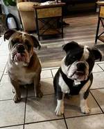 DF576707-BFC8-465A-93C7-2DDF0FB5907A.webp