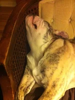 Soph Wierd.webp