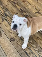 Tebow-4 mos.webp