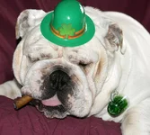 Bwick St Pat.webp