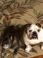 theboys.webp