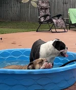 IMG_7642.webp