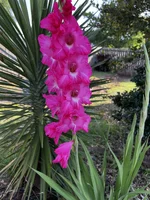 IMG_7786.webp