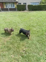 jess and kuba.webp