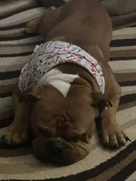 Sleepy time.webp