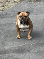 Gunny's stance.webp