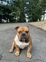 Handsome pose.webp