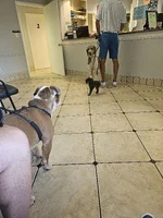 20230912_082931.webp