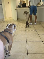 20230912_082933.webp