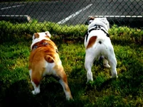 5-15-11-12.webp