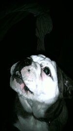FRANKLIN BEGGING.jpg
