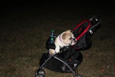 IMG_0432.jpg IMG_0432.jpg