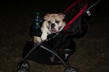 IMG_0433.jpg IMG_0433.jpg