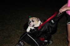 IMG_0434.jpg IMG_0434.jpg