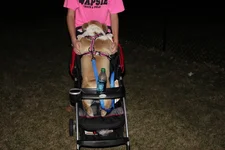 IMG_0435.webp IMG_0435.webp