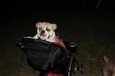 IMG_0436.webp IMG_0436.webp
