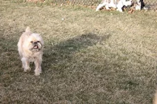 IMG_0419.webp IMG_0419.webp