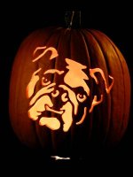 bulldog pumpkin.jpg