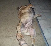100_0453.webp
