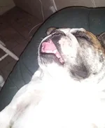 20120816_134226-1.webp
