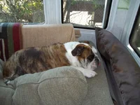 100_0363.webp