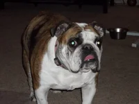 100_0458.webp