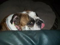 100_0132.webp