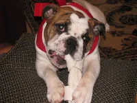 Xmas 105.webp