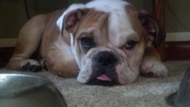 2012-09-23_13-40-13_485.jpg 2012-09-23_13-40-13_485.jpg
