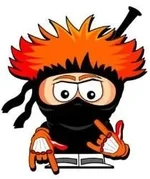 Ginja-Ninja-250-863.webp