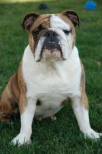 Winston.jpg Winston.jpg