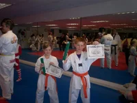ginja ninja.webp
