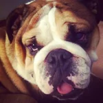 photo(18).webp