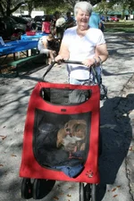 stroller.webp