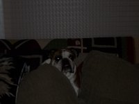 100_0412.jpg 100_0412.jpg