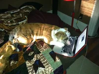 ONMYCOMPUTER.webp ONMYCOMPUTER.webp