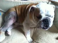 oliver-5-22-12-a.webp