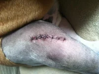 oliver-5-22-12-b.webp