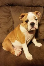 Lola first year one 008.webp