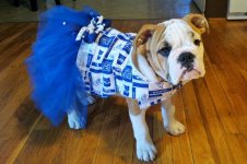 Lola first year one 001.jpg Lola first year one 001.jpg