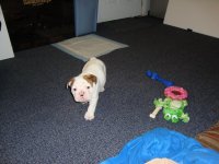 Rocco Day One 007.jpg