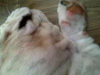 IMG-20120725-01331.jpg IMG-20120725-01331.jpg